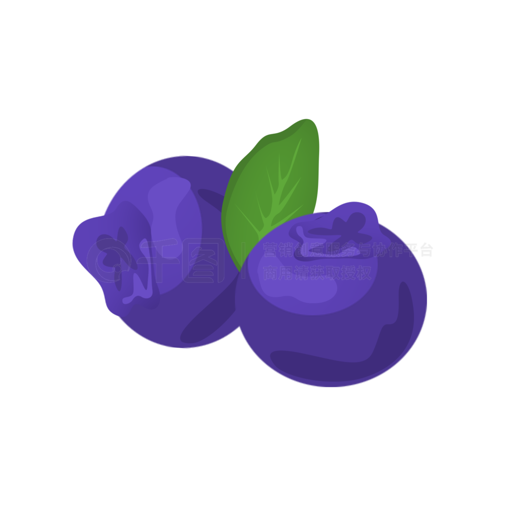 ͨˮɫݮֻ