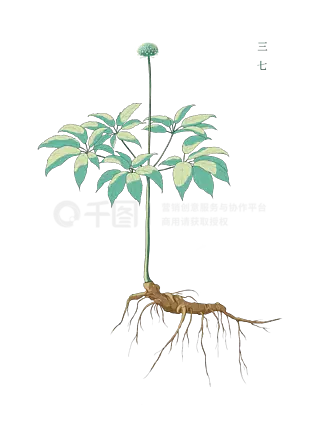 绿色植物扁平插画