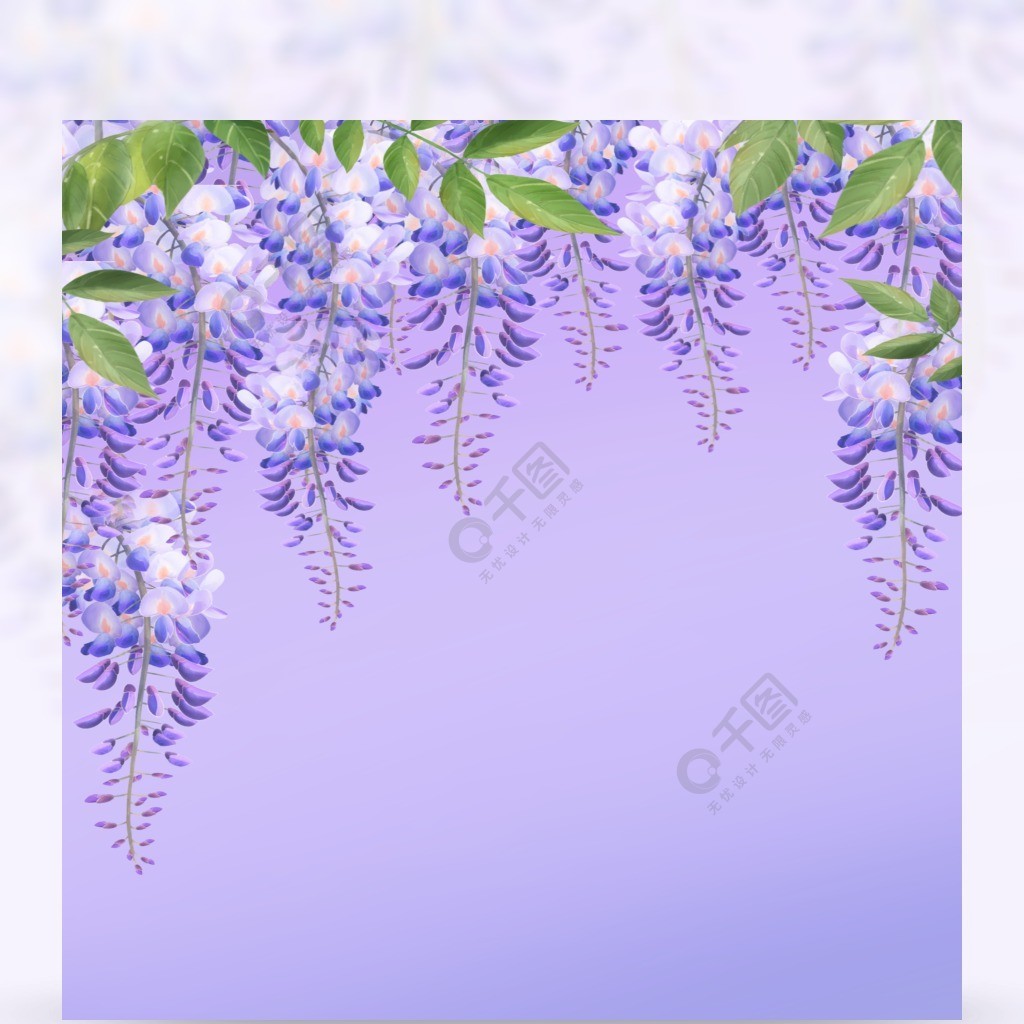 可爱鲜花边框无缝紫藤花紫色背景