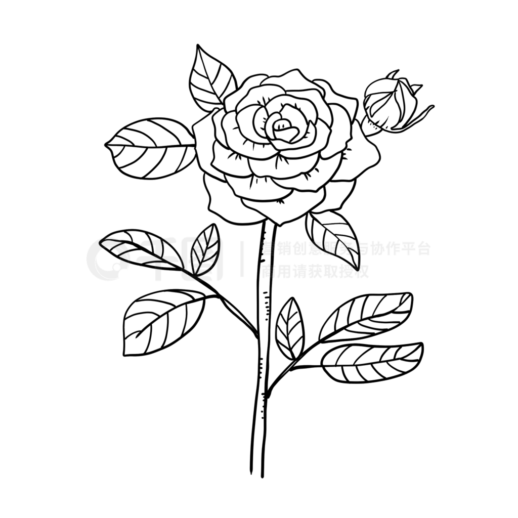 ʢõҶӴֲ̻rose clipart black and white