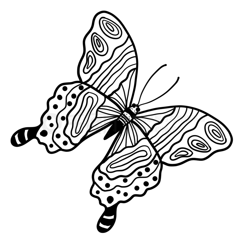 չbutterfly clipart black and white