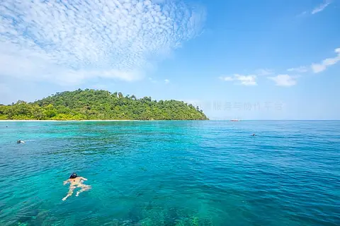 面具和浮潜在海滩上潜水