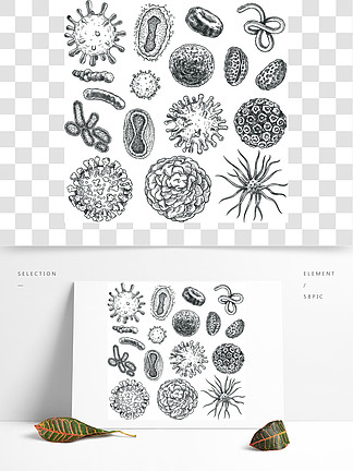 素描病毒 i>细/i>菌,冠状病毒 i>细/i>菌生物学微有机元素covid-19