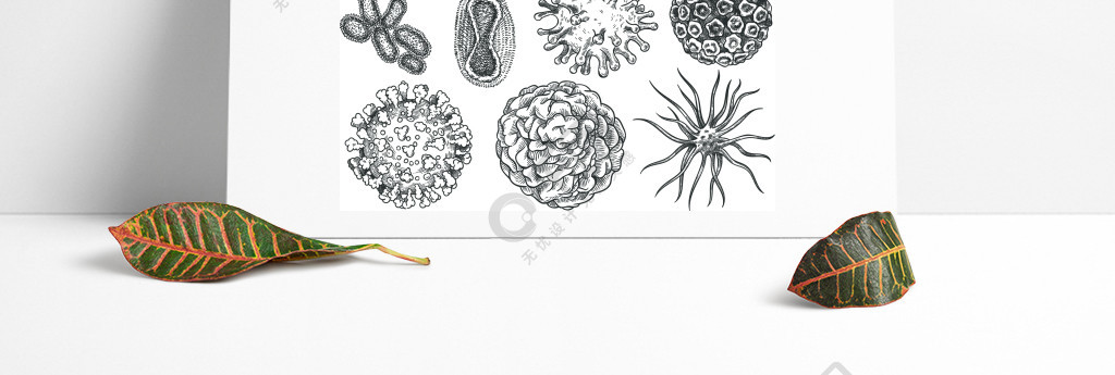 手绘雕刻矢量集插图胚芽微,covid-19绘制的素描微生物素描病毒细菌