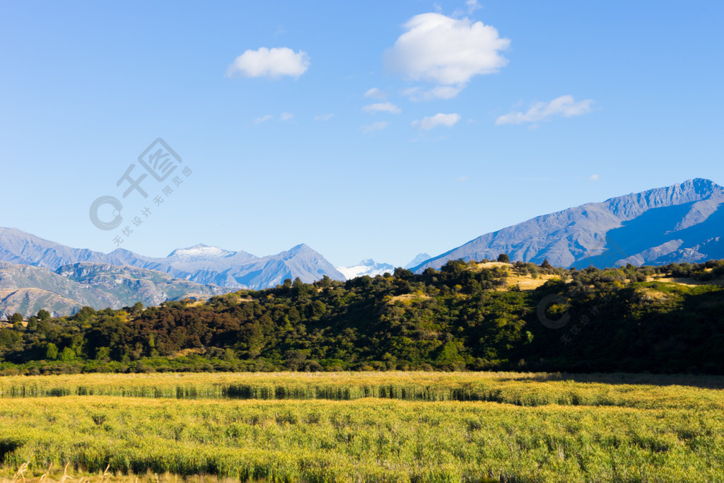 如诗如画的风景新西兰阿尔卑斯山和田野的自然景观