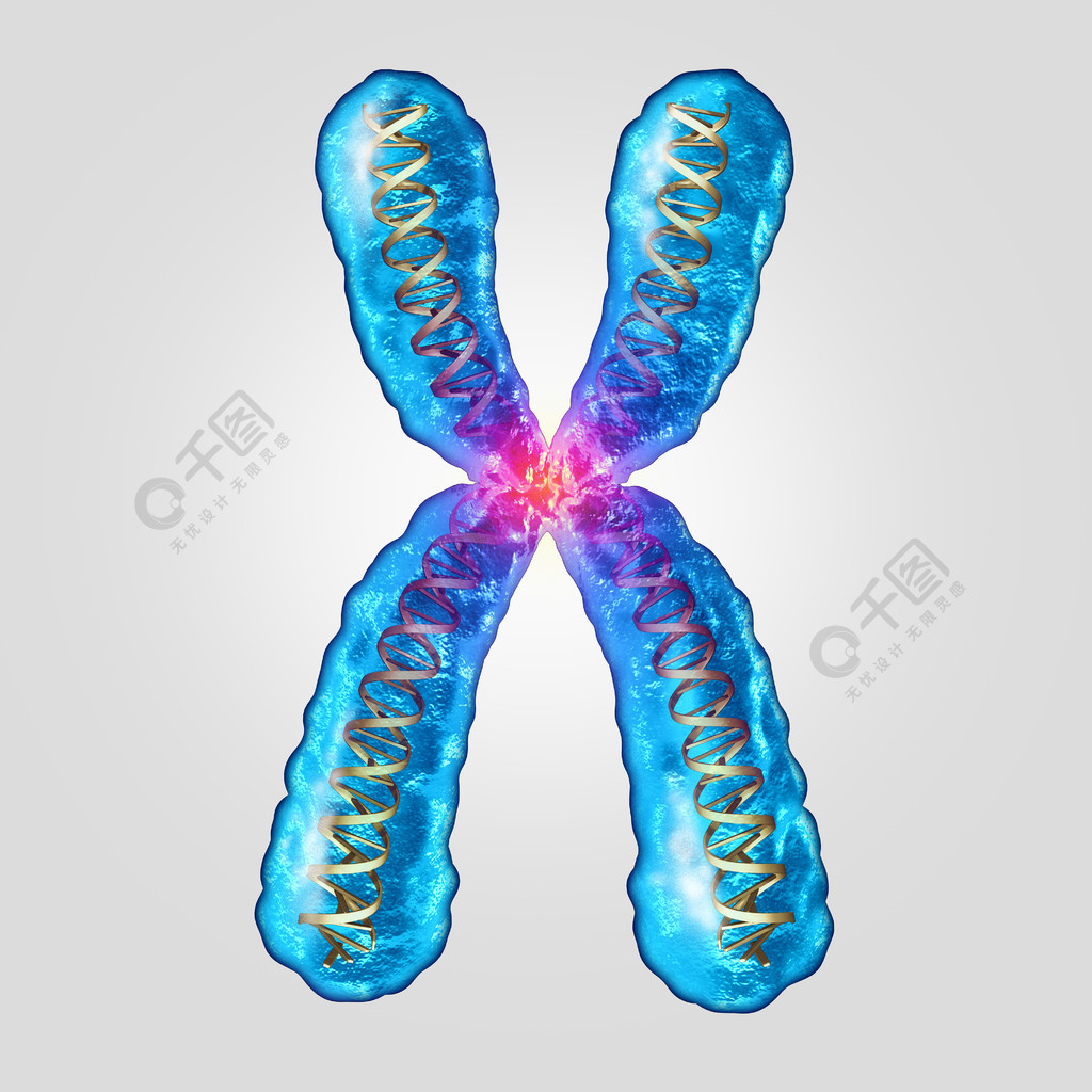 染色体基因脱氧核糖核酸概念作为与双重螺旋基因结构的微观分子作为