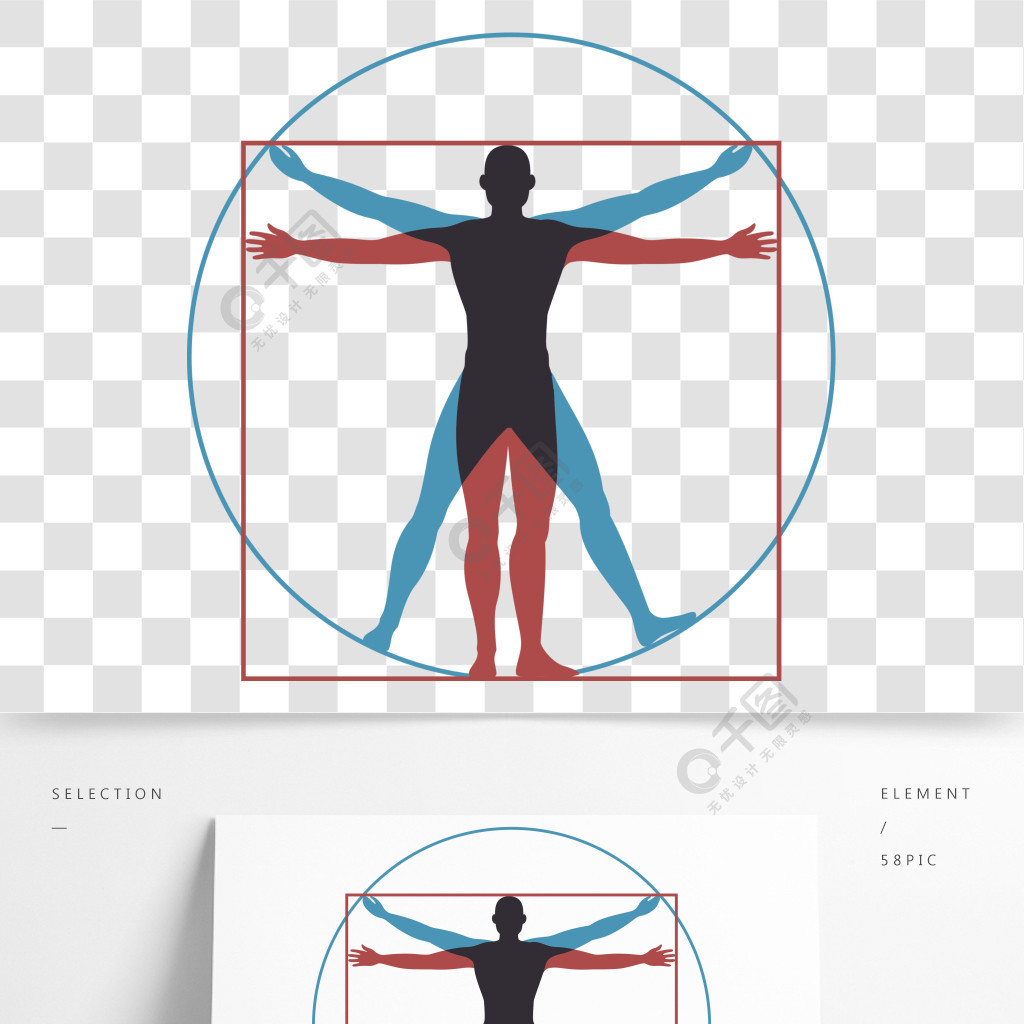 维特鲁威人leonardodavinci人体在圆形和正方形上的完美解剖比例矢量