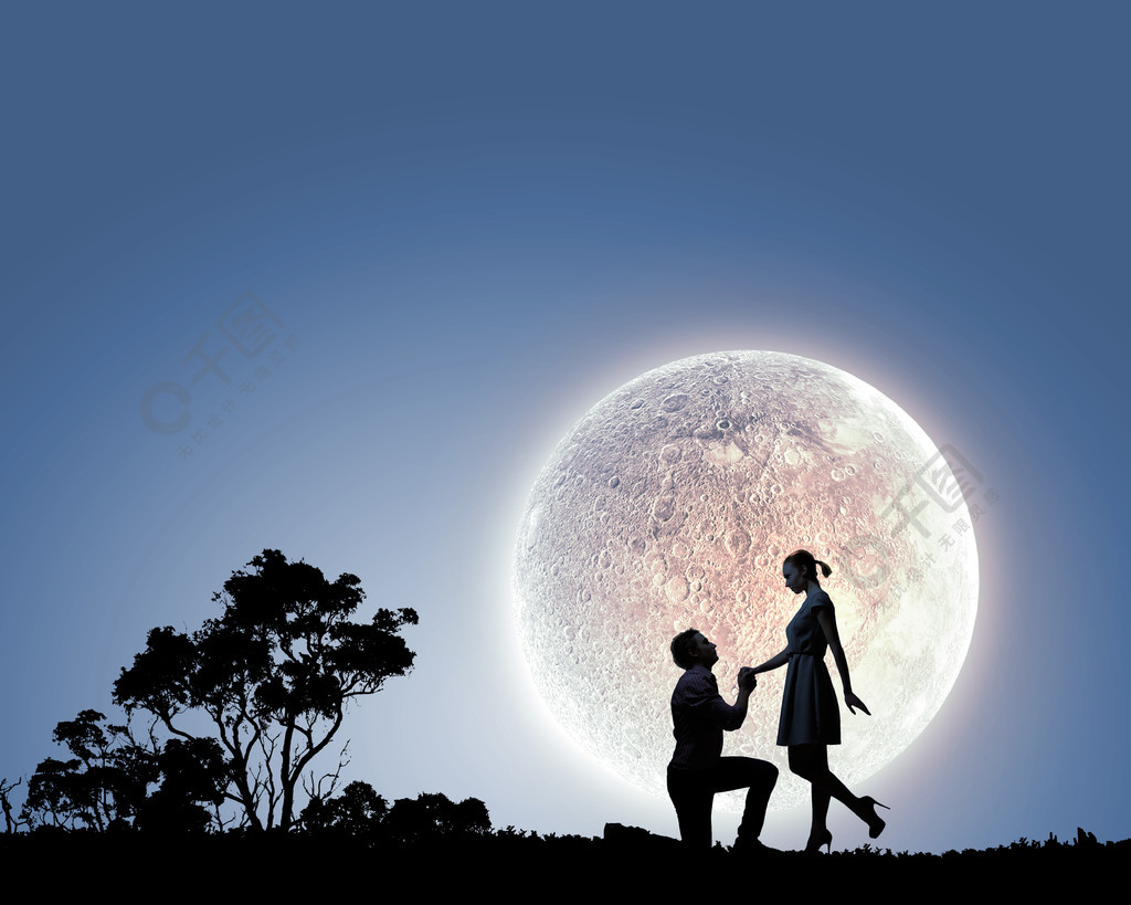 提出建议的人浪漫情侣在月光下的剪影