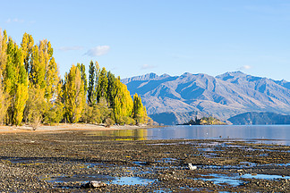 如诗如画的风景新西兰阿尔卑斯山和湖泊的自然景观