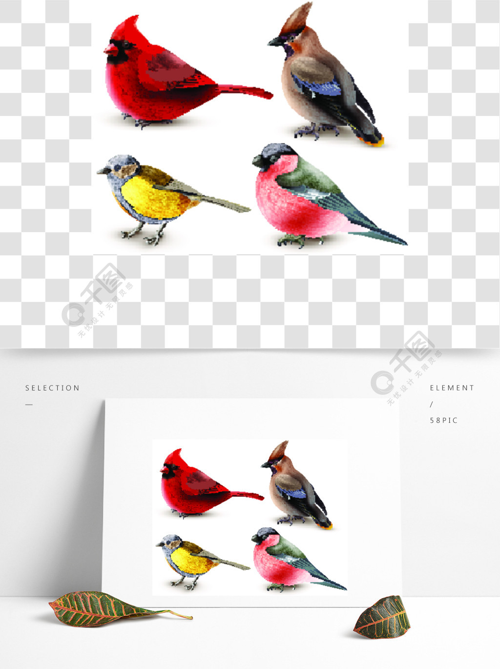 套与红色主教北美山雀雀科和红腹灰雀3d的冬天鸟设计