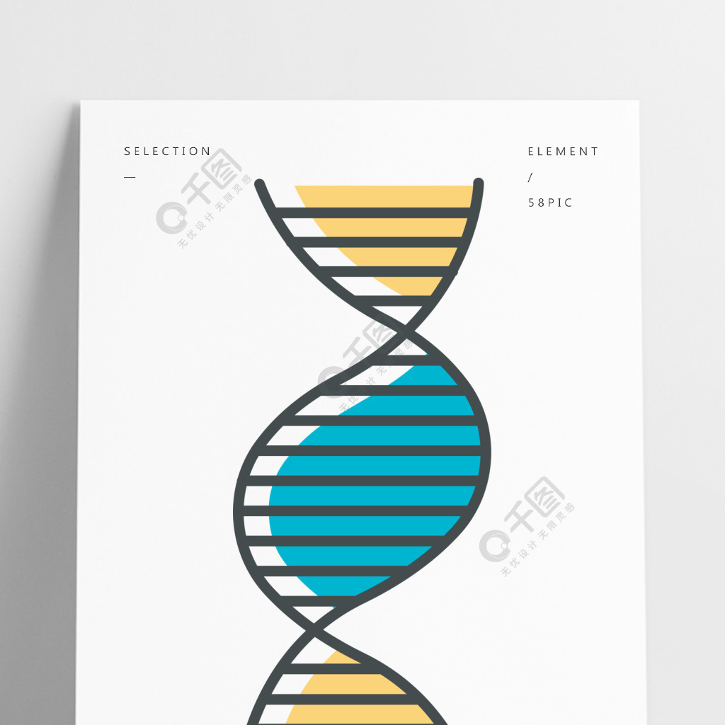 b-dna脱氧核糖核酸,核酸结构螺旋线染色体分子生物学遗传密码基因组?