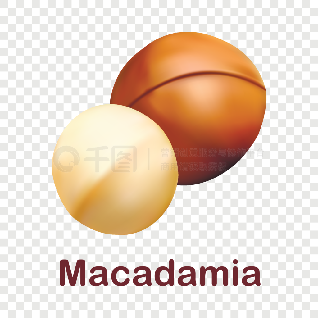 ޼Macadamia