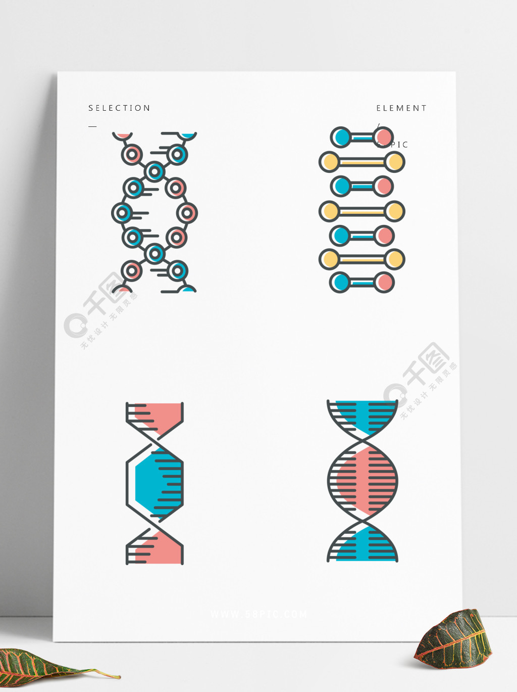 核酸螺旋螺旋线染色体分子生物学遗传密码基因组?