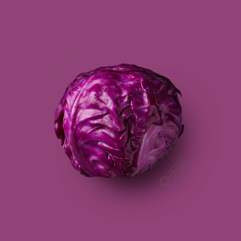 在紫色背景隔绝的红叶卷心菜头菜健康食物从彩色白菜系列红甘蓝头上