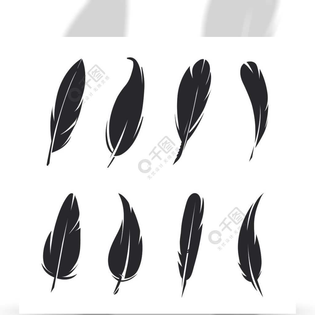 羽毛孤立的单色图片在白色背景的鸟剪影,纹身素描集合羽的羽毛向量