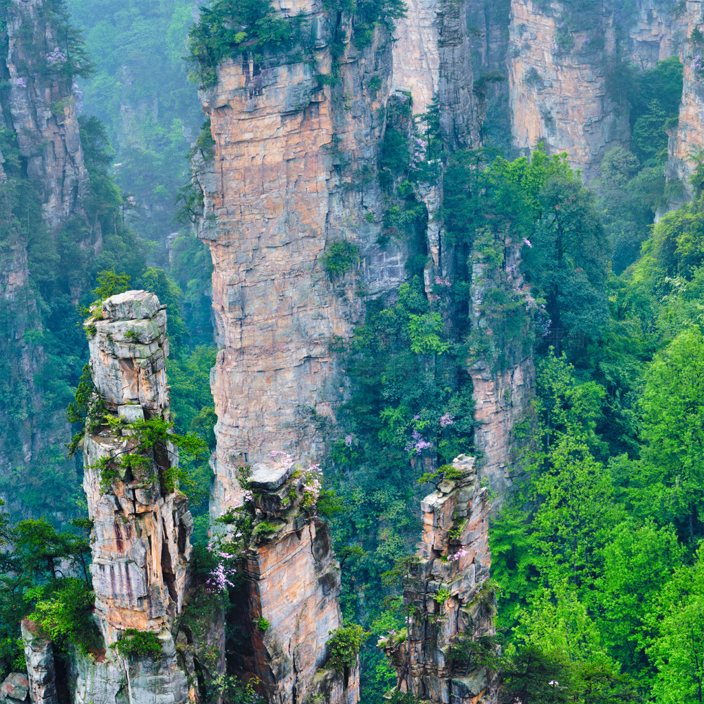 中国的著名旅游胜地-张家界石在雾岭的柱子峭壁山在武陵源，湖南，中国中国张家界山