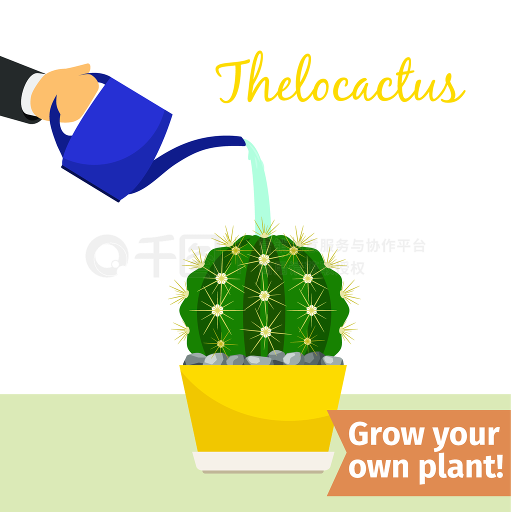 ֵthelocactusĴȾýֲֽ֤