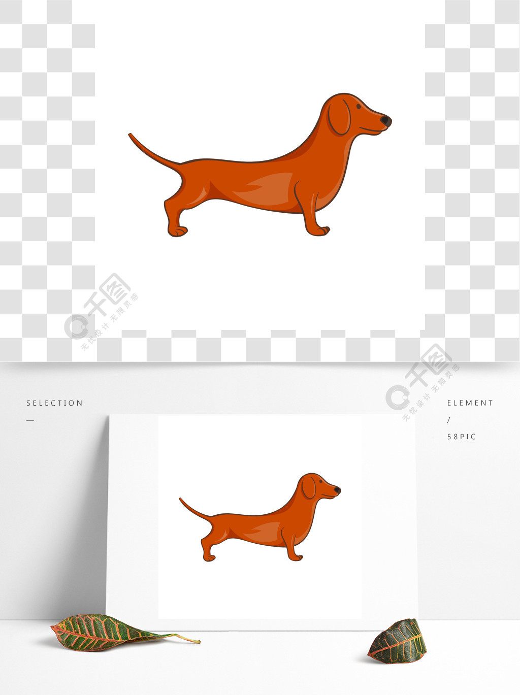 在动画片样式的布朗达克斯猎犬狗象在白色背景卡通风格的棕色腊肠狗