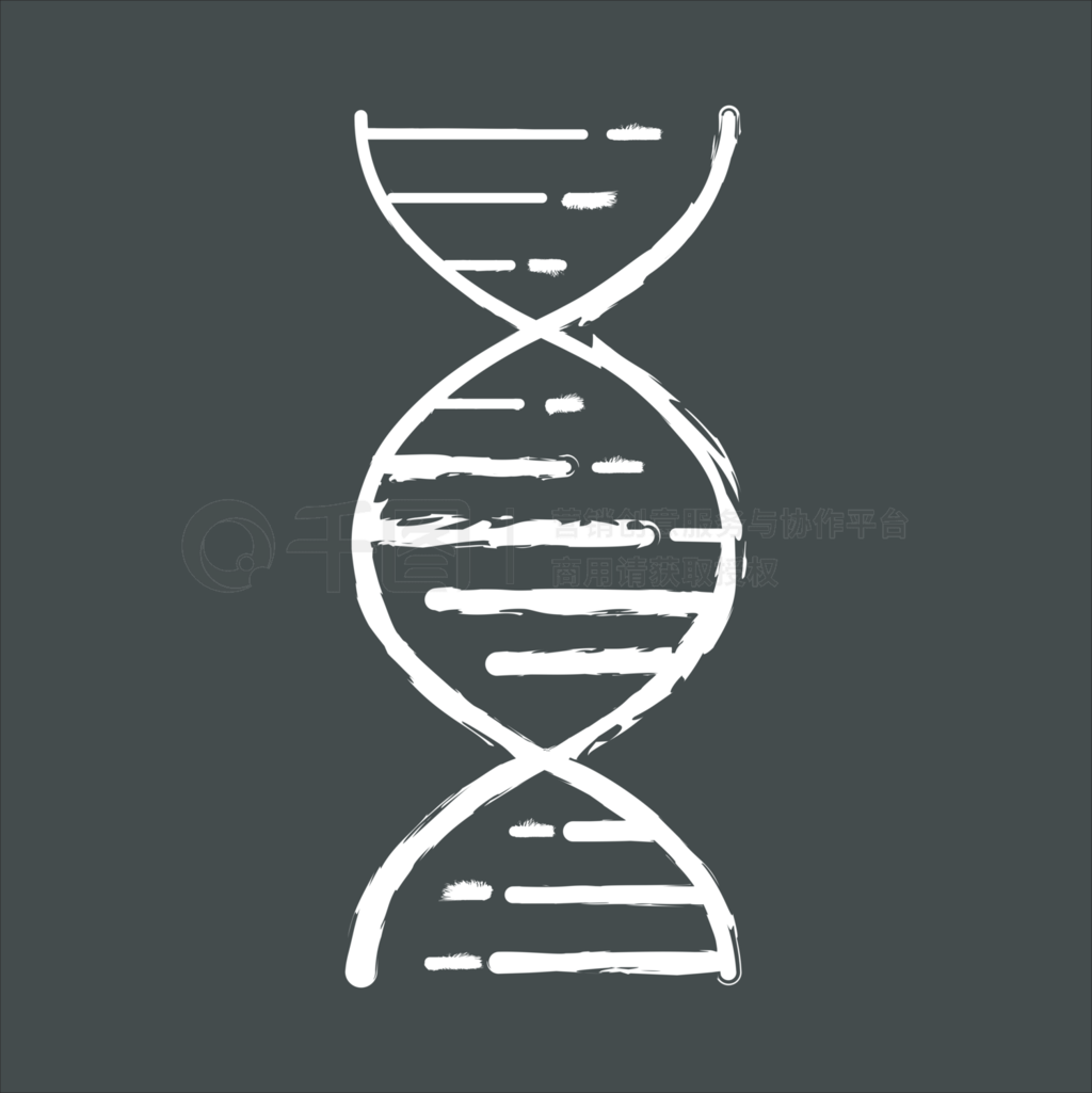 Dna˫۱ͼǺᣬṹȾɫѧŴ?Ŵѧʸڰ廭