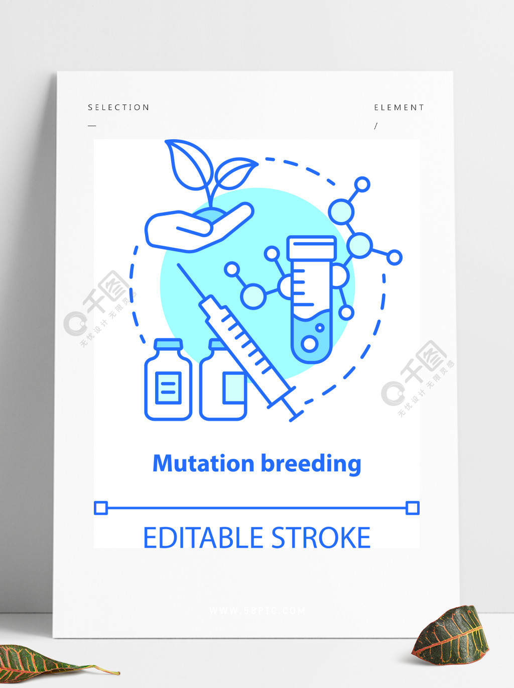 变异育种概念图标生物工程和生物技术的想法细线图基因改造和植物选择