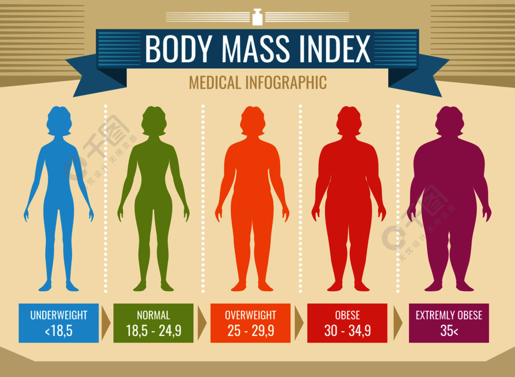女人的身体质量指数矢量医疗信息图表体重指数肥胖和超重的插图女人的