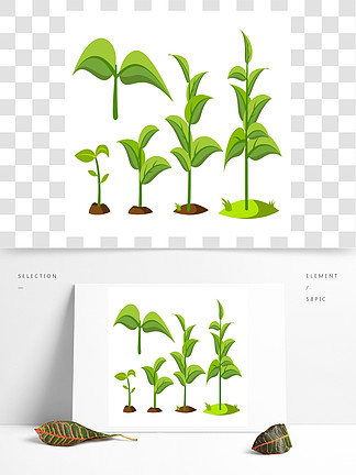 树苗隔绝了cliparts组装育苗,栽培农业,园艺绿化,园艺平面插画幼树