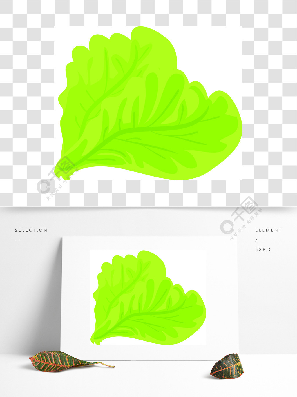 绿色的莴苣叶图标绿色莴苣叶子在白色背景网络设计的传染媒介象动画片