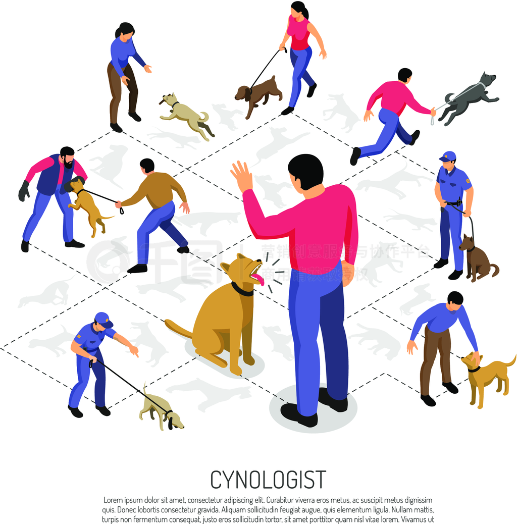 뾯CynologystѵinfographicӦĵȾƴȾý֤CynologistȾֲͼ