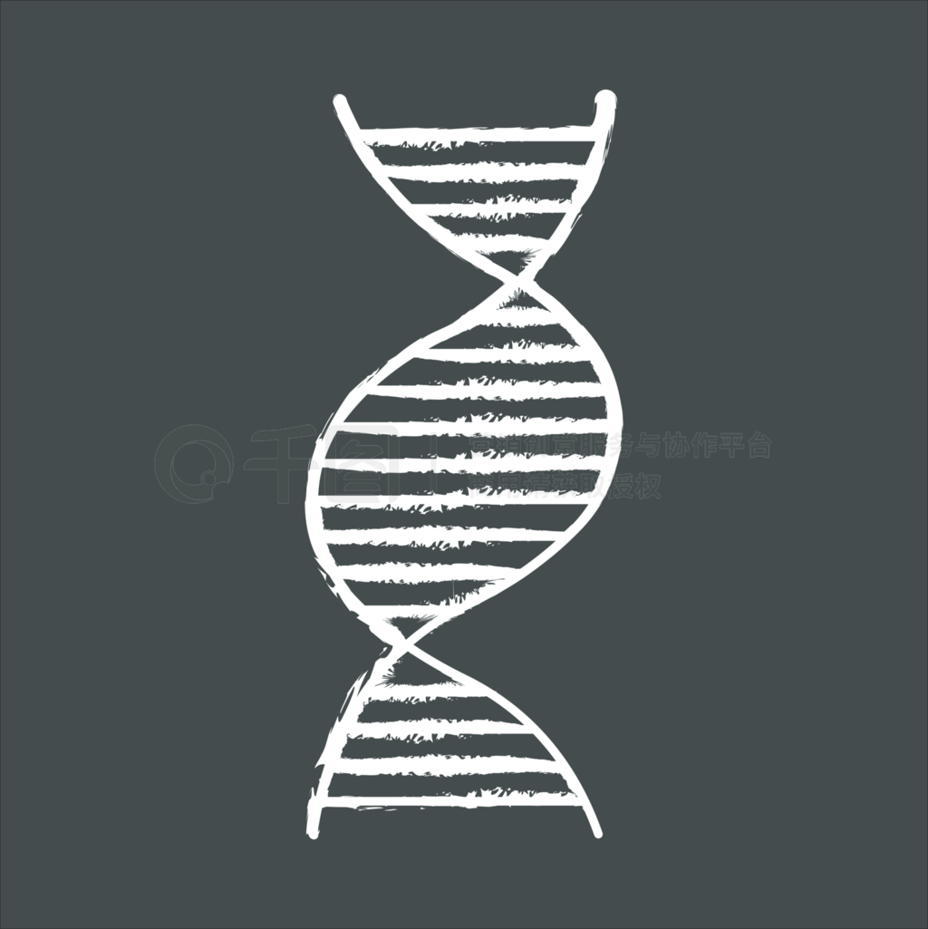 ֵDNA۱ͼB-DNAǺᣬȾɫѧŴ?Ŵѧʸڰ廭