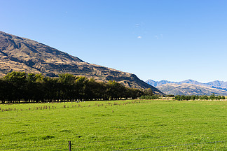 如诗如画的风景新西兰阿尔卑斯山和草地的自然景观