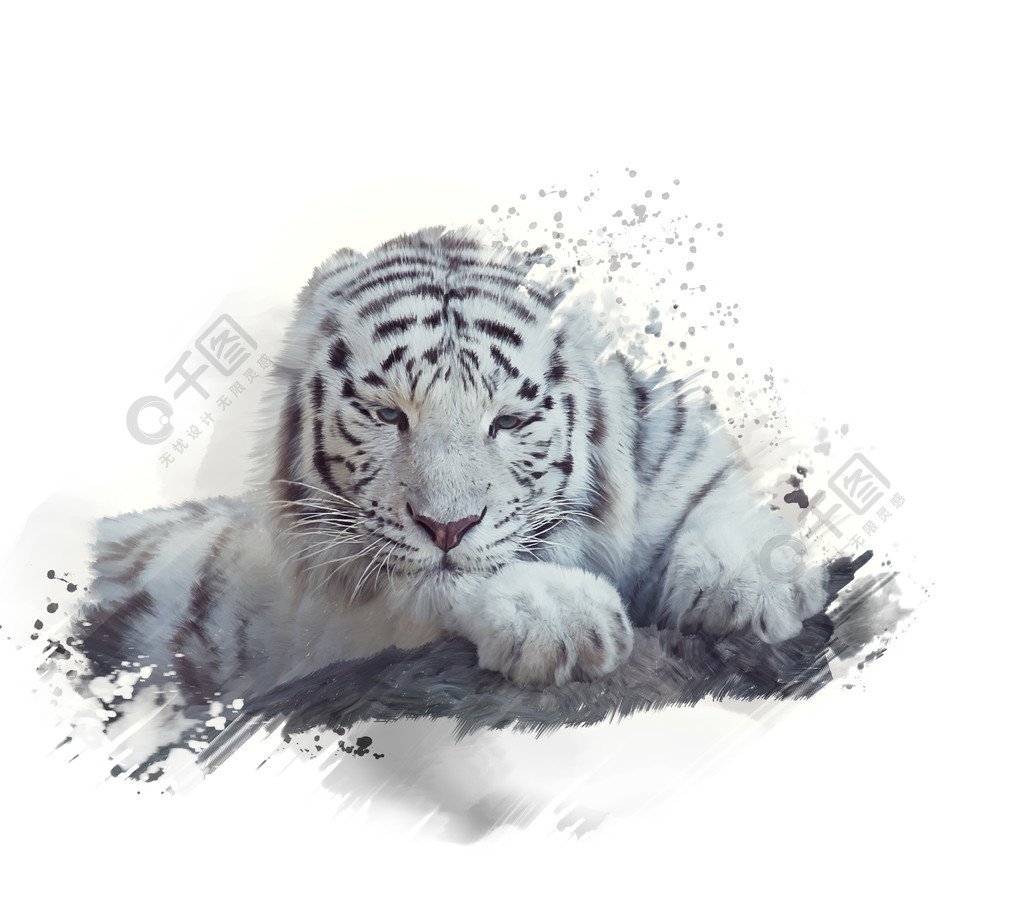 白色背景上的白老虎水彩画