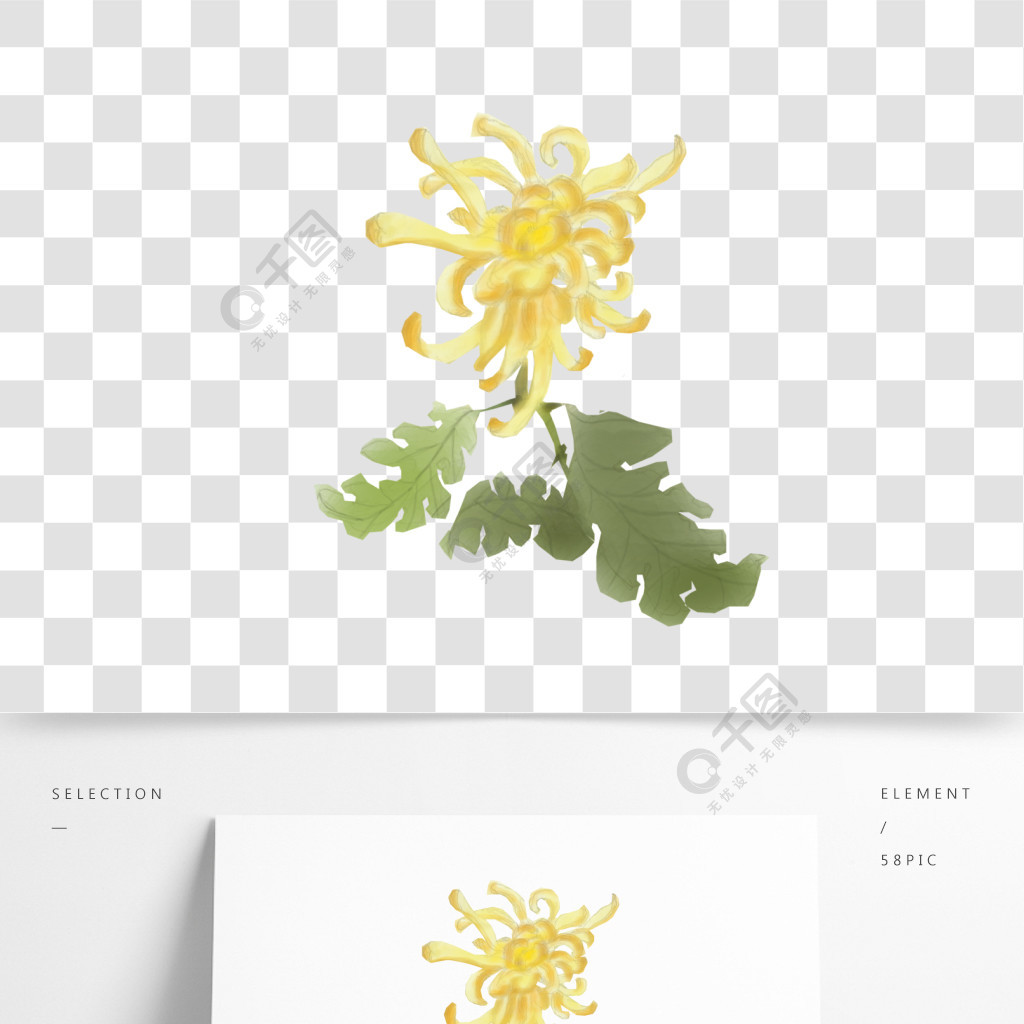 重阳节卡通手绘黄色菊花水彩赏菊免抠png