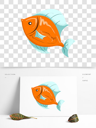 手绘海鲜罗非鱼插画