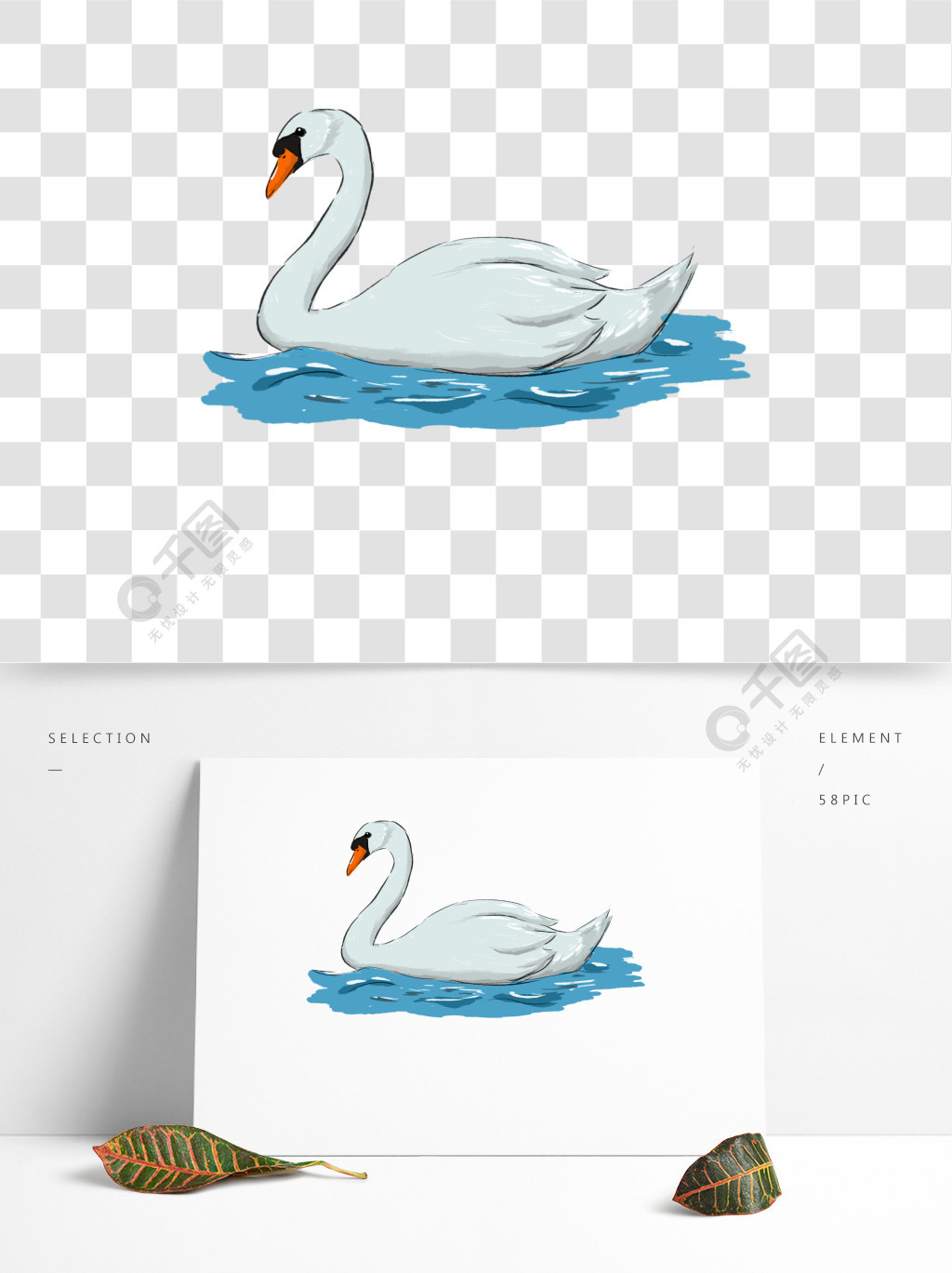 水里游的卡通白天鹅免抠图2年前发布