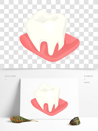 白色 i>牙/i>齿 i>牙/i i>龈/i>插画