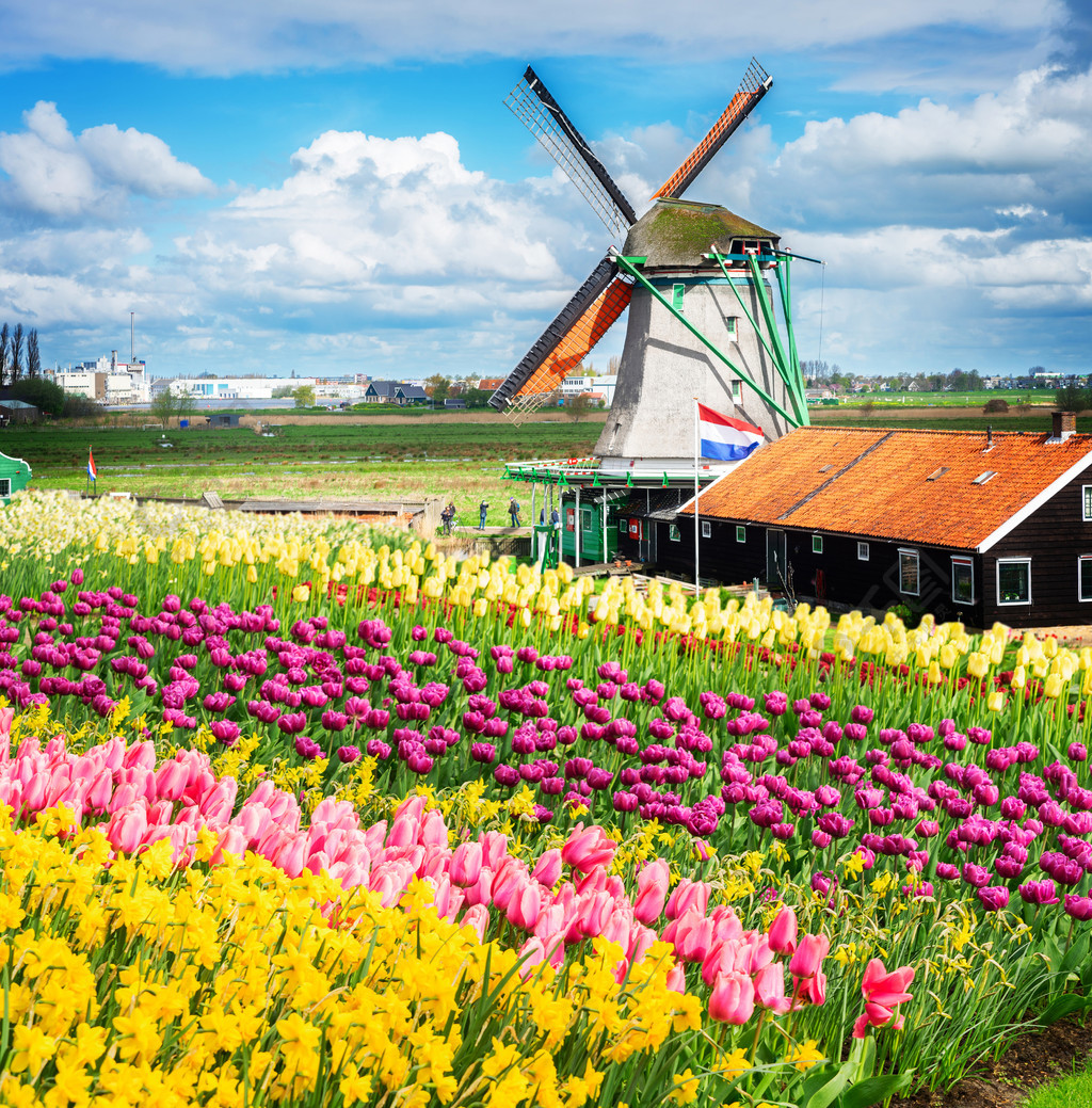 荷兰风车自然风景免费下载_jpg格式_4000像素_编号36370680-千图网