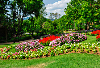美丽的花园,在著名的法国凡尔赛宫风景名胜免费下载_jpg格式_5760像素