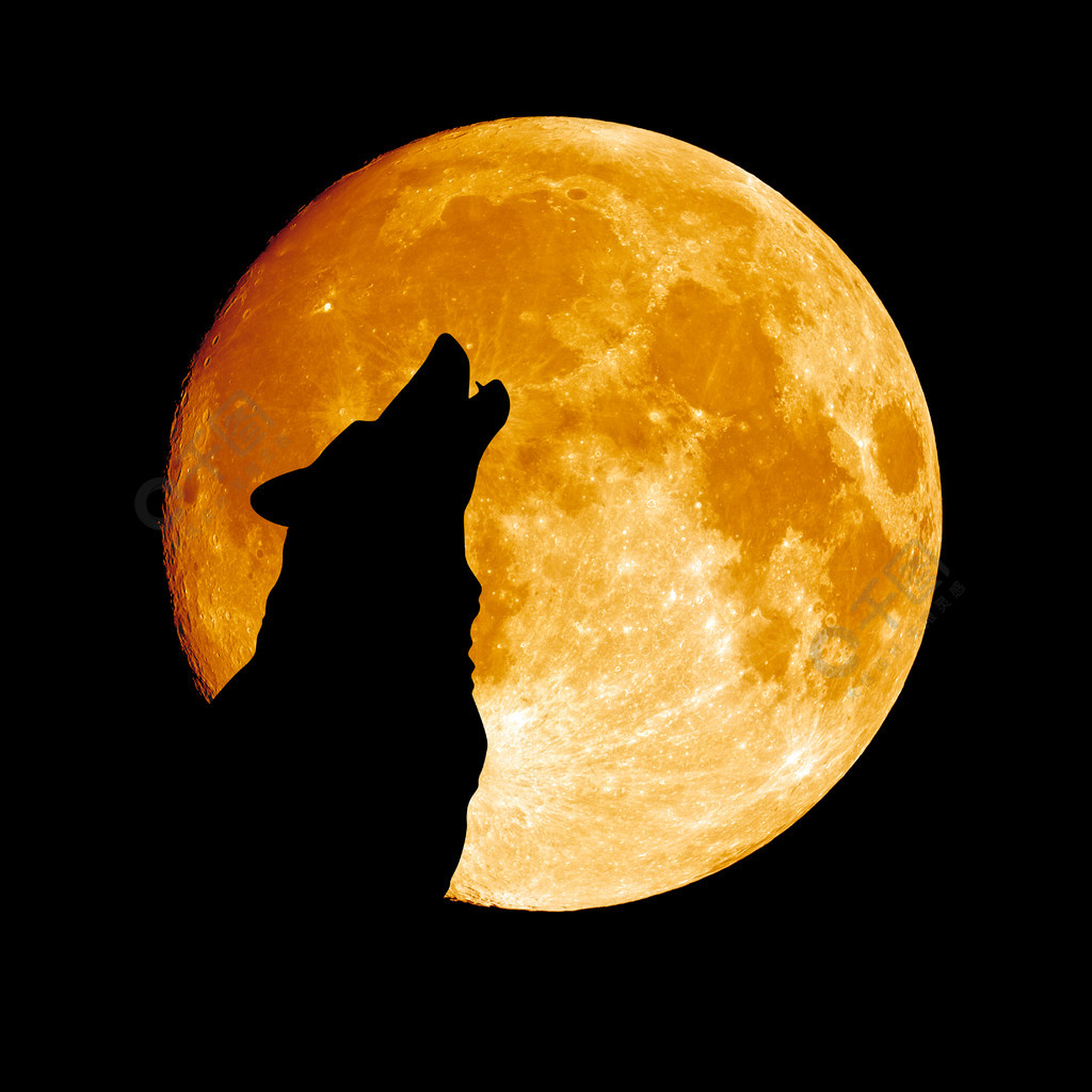 对着月亮嚎叫的狼
