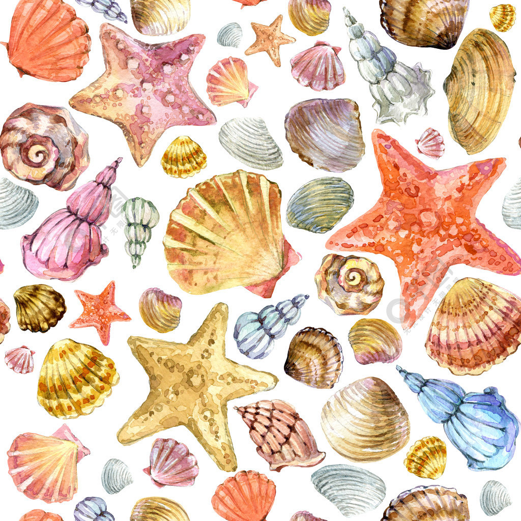 海壳.海贝壳水彩图案.海滩贝壳纹理背景.