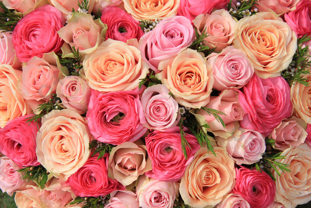 粉红玫瑰新娘花束