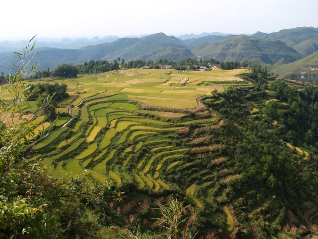 高坡梯田