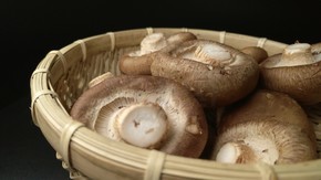 新鲜香菇美食餐饮(29)