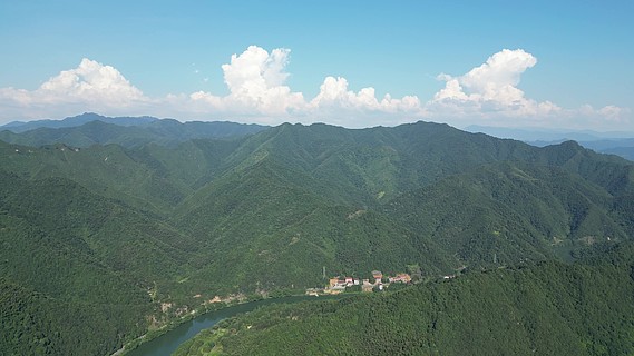 國韻古琴梅花高山水墨山水影戰鶴雲海報藍天下的高山森林遠景山頂.