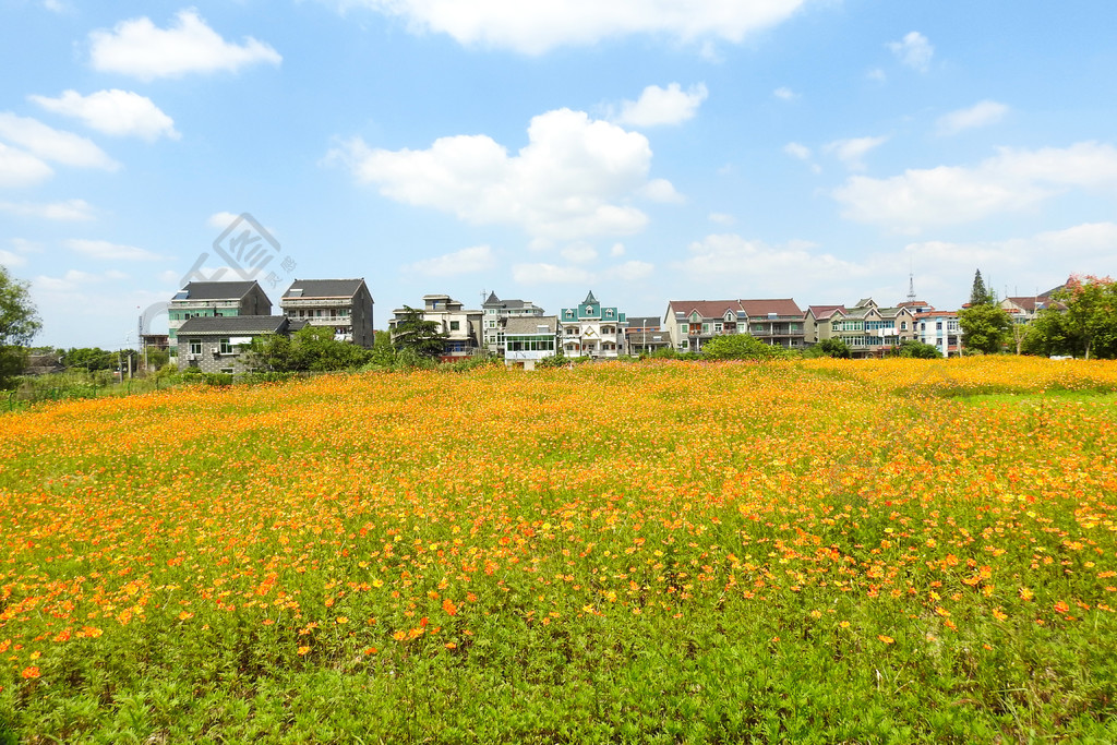 田園風景