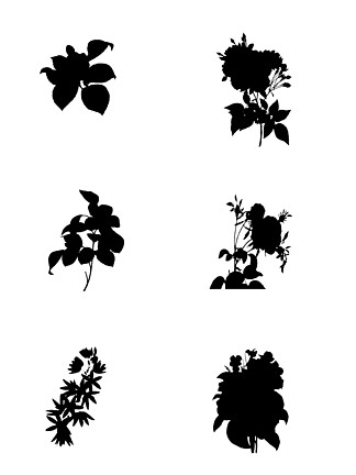 植物剪影装饰/效果图片免费下载