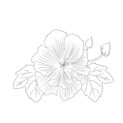 简笔画风格可爱卡通小盆栽54269241333带叶子和花朵的水彩画弹簧框架