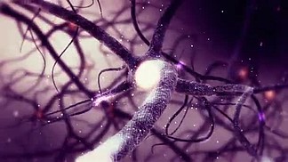 真正的神经元突触网络<i>动</i><i>画</i>。人类脑内全高清的无限循环