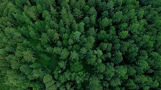 空中无人机在森林上空射击。无人机在树木和道路上方向前飞行