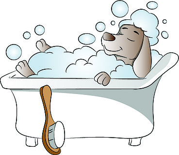 简笔画小狗 洗澡图片