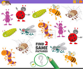 可爱昆虫动物角色儿童寻找两张相同图片教育活动游戏的卡通插图